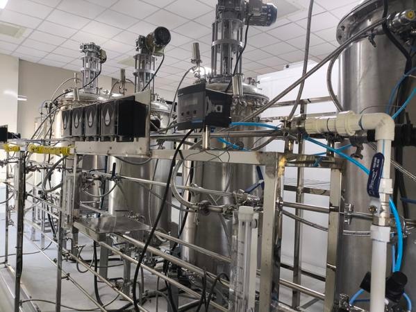 Manufacturer and Suppliers of Fermenter 500 Litter For Biofertilizer ProductionFermenter Manufacturer – High-Performance Industrial Bioreactors for Reliable Commercial ApplicationsIn the growing pharmaceutical, biotech, and food processing industries across India, the demand for high-quality fermenters is surging. Businesses in cities like Mumbai, Bengaluru, Chennai, Hyderabad, and Delhi are seeking trusted solutions for their fermentation needs. When it comes to choosing a dependable fermenter manufacturer, UMA PHARMATECH MACHINERY stands out with a reputation for delivering precision-engineered, cost-efficient, and durable fermenters for lab-scale to industrial-scale operations. Whether you are setting up a new production unit or expanding your current facility, selecting a proven fermenter manufacturer is crucial to ensure batch consistency and regulatory compliance.Best Fermenter Manufacturer in India for Commercial UseIndustries in Ahmedabad, Pune, Kolkata, and Jaipur demand fermenters that offer maximum yield, ease of operation, and efficient sterilization systems. UMA PHARMATECH MACHINERY caters to these needs with a range of pilot-scale and industrial fermenters ideal for antibiotic production, enzyme manufacturing, probiotics, and microbial growth. Their stainless-steel fermenters, CIP and SIP capable systems, and automation-ready bioreactors are tailored to meet the high standards of pharmaceutical companies, food-grade manufacturers, and biofertilizer producers. Cities like Indore, Bhopal, Chandigarh, and Ludhiana are becoming manufacturing hubs, and investing in high-grade fermenters is a smart move for businesses targeting long-term productivity.Where to Buy Industrial Fermenters in India at Factory PriceFor buyers in cities like Surat, Nagpur, Rajkot, and Bhubaneswar, purchasing directly from the manufacturer can result in significant cost savings. UMA PHARMATECH MACHINERY offers fermenters at factory-direct prices with end-to-end support from design to installation. This eliminates the need for middlemen and reduces procurement lead times. Buyers in Kochi, Thiruvananthapuram, Visakhapatnam, and Coimbatore benefit from custom-configured fermenters with temperature control systems, digital automation, and PLC-based monitoring to ensure optimal fermentation outcomes. If you are planning to scale up your fermentation process in Mysuru, Mangalore, or Vadodara, choosing an experienced manufacturer will ensure low maintenance costs and high equipment uptime.Lab to Industrial Fermenters – Buy the Right Fermenter for Your ApplicationCompanies in Amritsar, Guwahati, Gwalior, and Jodhpur require fermenters for a variety of purposes including ethanol production, recombinant protein manufacturing, and vaccine development. UMA PHARMATECH MACHINERY provides scalable fermenter solutions starting from 5 liters to over 5000 liters to suit lab trials, pilot production, and full-scale commercialization. Fermenters designed for cities like Patna, Ranchi, Jammu, and Dehradun are equipped with advanced agitation systems, aeration control, and pressure management—ensuring reproducible results in each batch. Clients across Panaji, Siliguri, and Tiruchirappalli appreciate the technical guidance and after-sales support that UMA PHARMATECH MACHINERY offers, giving them confidence to invest in new production capacities.Top Fermenter Manufacturing Company in India – UMA PHARMATECH MACHINERYWhether you are located in Agra, Noida, New Delhi, or expanding your manufacturing unit in Nashik, Hubballi, or Udaipur, UMA PHARMATECH MACHINERY is a reliable partner that brings years of expertise and precision engineering to your fermentation needs. Their fermenters are designed to comply with GMP and FDA standards and are trusted by pharmaceutical companies, biotech firms, and universities across India. With a wide distribution network and customized installation services, UMA PHARMATECH MACHINERY ensures your fermenter arrives ready to perform in your specific production environment.Frequently Asked Questions – Fermenter Manufacturer1. Where can I buy industrial fermenters for pharmaceutical manufacturing in India?You can buy industrial fermenters from UMA PHARMATECH MACHINERY, a leading Indian manufacturer offering delivery and support in major cities like Mumbai, Bengaluru, Chennai, and Hyderabad.2. Which company provides custom fermenter solutions for large-scale biotech production?UMA PHARMATECH MACHINERY specializes in providing custom fermenter configurations, tailored to your process scale and specifications.3. What is the best fermenter model for enzyme production in commercial setups?For enzyme production, UMA PHARMATECH MACHINERY offers fully automated stainless-steel fermenters with precise pH and temperature control suited for commercial applications.4. How do I get the best price on industrial fermenters in India?Contacting the manufacturer directly ensures the best pricing. UMA PHARMATECH MACHINERY provides factory-direct rates with full technical assistance.5. Can I get fermenters delivered and installed in remote locations like Ranchi or Jodhpur?Yes, UMA PHARMATECH MACHINERY delivers fermenters across India and offers on-site installation and training, even in remote industrial cities.