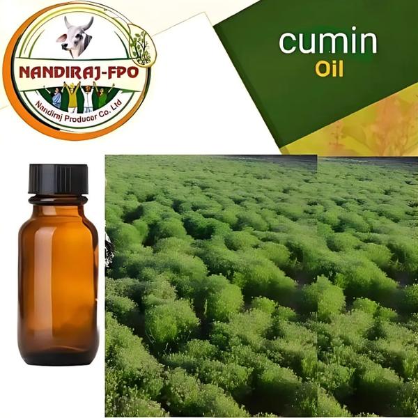 ORGANIC CUMIN OIL