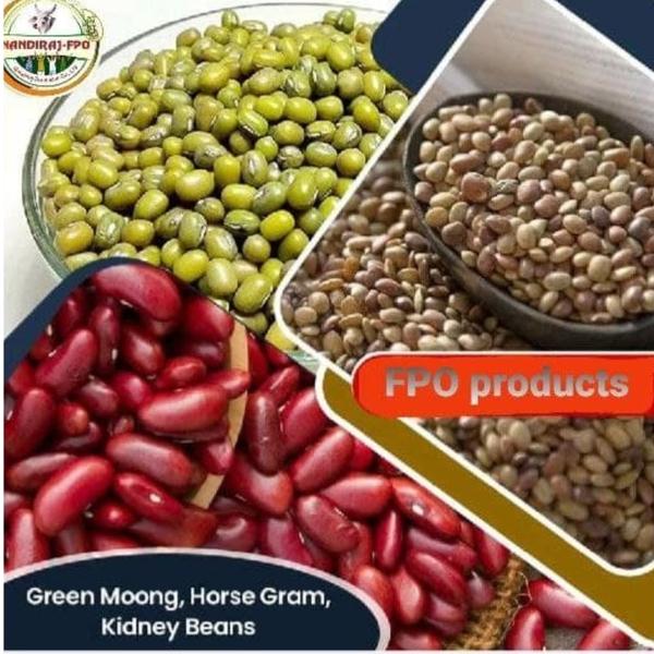 ORGANIC GREEN GRAM / MUNG BEANS