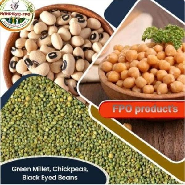 ORGANIC BLACK GRAM / URAD DAL