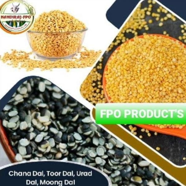 ORGANIC SPLIT YELLOW MOONG DAL