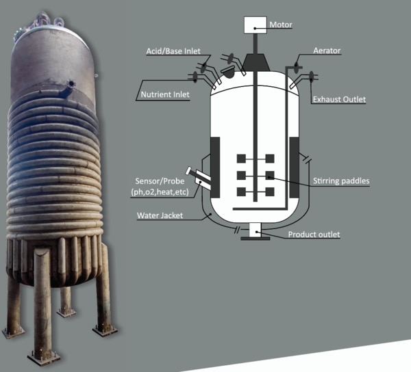 About FermentersFermenters (also called bioreactors) are specialized vessels designed to create optimal conditions for the growth of microorganisms or cells, enabling the production of a wide range of products such as antibiotics, enzymes, vaccines, and bio-based chemicals. They are extensively used in the pharmaceutical, biotechnology, food, and chemical industries.
