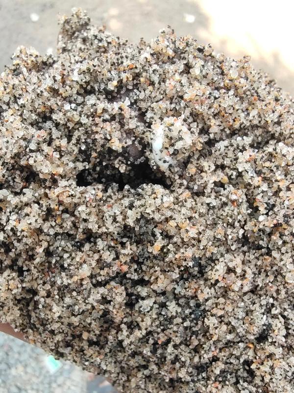 Nareswar sand is a fine-quality natural river sand sourced from the banks of the Narmada River near Nareswar in Gujarat, India. Known for its smooth texture, uniform grain size, and light color, it is highly regarded among artists and sculptors. The sand is rich in silica and free from excessive clay or organic impurities, making it ideal for detailed and stable sculpting work.One of its most notable uses is in sand art and large-scale sculptures, where its cohesive yet pliable nature allows for intricate designs. In fact, Nareswar sand was selected from among 27 varieties for a high-profile sand art project by renowned artist Sudarsan Pattnaik in Surat.Beyond artistic use, Nareswar sand can also be used in decorative landscaping, ceremonial constructions, or high-end finishes where fine texture and clean appearance are essential. Its limited availability and superior quality make it a premium choice in niche applications.