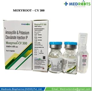 . Amoxicillin and clavulanate combination is used to treat bacterial infections in many different parts of the body (eg, ear, lungs, sinus, skin, urinary tract). Amoxicillin and clavulanate combination is an antibiotic that belongs to the group of medicines known as penicillins and beta-lactamase inhibitors