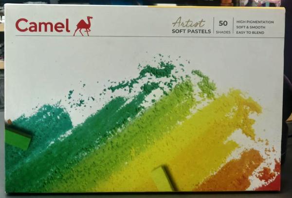 Camel Soft Pastels, 50 Shades (Multicolor)Artist Soft Pastels Assorted pack of 50 shades Made with rich, high-quality pigmentsSquare-shaped sticks for better gripOffers a smooth discharge of colour