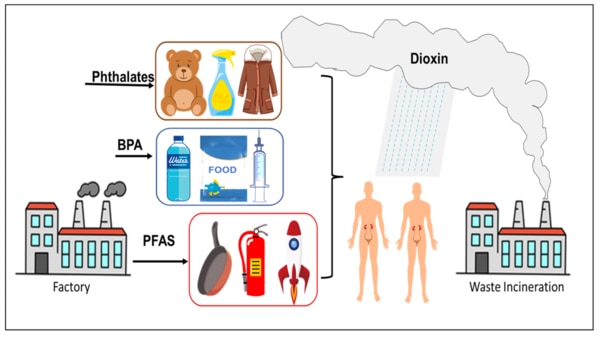 Dioxin sampling