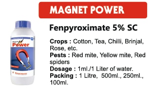 :🐞 MAGNET POWER – Fenpyroximate 5% SC Insecticide | Bhavya Industries, IndoreHigh-Performance Mite Control Insecticide in Indore – From Bhavya IndustriesIf you’re looking for a powerful miticide and insecticide in Indore, MAGNET POWER from Bhavya Industries is your ideal solution.Formulated with Fenpyroximate 5% SC, it’s specially designed to combat mites and sucking pests across a variety of crops.Made in Indore, Madhya Pradesh, by one of the region’s most reliable agrochemical companies, Bhavya Industries, MAGNET POWER delivers proven results trusted by farmers, agri-dealers, and crop consultants alike.🔬 Product Overview – MAGNET POWERBrand Name: MAGNET POWERTechnical Name: Fenpyroximate 5% SCFormulation: Suspension Concentrate (SC)Mode of Action: Contact & translaminar activityUsage: Specialized control of mites, jassids, aphids, and whiteflies🌿 Key Benefits✅ Fast knockdown effect on red spider mites and other hard-to-kill pests✅ Long residual control with minimal resistance buildup✅ Safe for crops when used as directed✅ Best suited for chilies, brinjal, okra, cotton, and ornamental plants🏭 Why Choose Bhavya Industries in Indore?🏆 Reputed agrochemical manufacturer in Indore🧪 High-purity formulations with advanced R&D🚚 Fast delivery across Madhya Pradesh🤝 Trusted by dealers and farmers in Indore, Ujjain, Dewas, and nearby areas📈 Competitive pricing with assured quality🐞 चुंबक शक्ति - Fenpyroximate 5% SC कीटनाशक | भाव्या उद्योग, इंदौरइंदौर में उच्च-प्रदर्शन माइट नियंत्रण कीटनाशक - भाव्या इंडस्ट्रीज सेयदि आप इंदौर में एक शक्तिशाली माइटसाइड और कीटनाशक की तलाश में हैं, तो भाव्या इंडस्ट्रीज से मैग्नेट पावर आपका आदर्श समाधान है।Fenpyroximate 5% SC के साथ तैयार किया गया, यह विशेष रूप से विभिन्न प्रकार की फसलों में पतंगों और चूसने वाले कीटों का मुकाबला करने के लिए डिज़ाइन किया गया है।क्षेत्र की सबसे विश्वसनीय कृषि रसायन कंपनियों में से एक, भाव्या इंडस्ट्रीज द्वारा इंदौर, मध्य प्रदेश में निर्मित, मैग्नेट पावर किसानों, कृषि-डीलरों और फसल सलाहकारों द्वारा समान रूप से विश्वसनीय सिद्ध परिणाम प्रदान करता है।🔬 उत्पाद अवलोकन - चुंबक शक्तिब्रांड का नाम: चुंबक शक्तितकनीकी नाम: Fenpyroximate 5% SCसूत्रीकरण: निलंबन ध्यान केंद्रित (एससी)कार्रवाई का तरीक़ा: संपर्क और ट्रांसलैमिनार गतिविधिउपयोग: पतंगों, जैसिड्स, एफिड्स और सफेद मक्खियों का विशेष नियंत्रण🌿 प्रमुख लाभ✅ लाल मकड़ी के कण और अन्य कठिन-से-मारने वाले कीटों पर तेज़ी से नॉकडाउन प्रभाव✅ न्यूनतम प्रतिरोध बिल्डअप के साथ लंबा अवशिष्ट नियंत्रण✅ निर्देशित के रूप में उपयोग किए जाने पर फसलों के लिए सुरक्षित✅ मिर्च, बैंगन, ओकरा, कपास और सजावटी पौधों के लिए सबसे उपयुक्त है🏭 इंदौर में भाव्या इंडस्ट्रीज क्यों चुनें?🏆 इंदौर में प्रतिष्ठित एग्रोकेमिकल निर्माता🧪 उन्नत आर एंड डी के साथ उच्च शुद्धता सूत्रीकरण🚚 मध्य प्रदेश में तेज़ी से वितरण🤝 इंदौर, उज्जैन, देवास और आस-पास के क्षेत्रों में डीलरों और किसानों द्वारा भरोसा किया गया📈 सुनिश्चित गुणवत्ता के साथ प्रतिस्पर्धी मूल्य निर्धारण