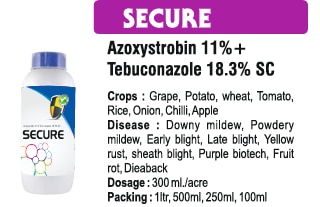 🌾 Bhavya Industries Indore – SECURERogon se Suraksha, Fasal mein VishwasAt Bhavya Industries Indore, we are dedicated to empowering farmers with advanced and trusted crop protection solutions. For comprehensive disease control and healthy crop growth, we proudly present:SECURE (Azoxystrobin 11% + Tebuconazole 18.3% SC)A systemic and broad-spectrum fungicide that combines two powerful molecules to give preventive, curative, and long-lasting protection against fungal diseases.✅ Crops: Wheat, Paddy, Maize, Cotton, Grapes, Fruits, Vegetables & Oilseeds.✅ Targets Diseases: Rusts, Leaf Spots, Blights, Anthracnose, Powdery Mildew, Sheath Blight & other fungal infections.✅ Mode of Action: Inhibits fungal respiration and sterol biosynthesis, stopping disease at multiple stages.Key Benefits of SECUREDual-Action Formula – faster cure with long protection against a wide range of diseases.Systemic Movement – penetrates plant tissues, curing infections from within.Improves Plant Health – enhances greenness, photosynthesis, and overall vigor.Higher Yield & Quality – protects crops at critical stages, ensuring better harvests.CEO’s Message“At Bhavya Industries Indore, we understand how fungal diseases can threaten both yield and quality. SECURE is our commitment to safeguarding every farmer’s crop with advanced, scientifically proven protection. With SECURE, farmers can confidently face disease challenges and aim for healthier, more productive fields.”🌾 भाव्या इंडस्ट्रीज इंदौर - सुरक्षितरोगन से सुरक्षा, फासल में विश्वासभाव्या इंडस्ट्रीज इंदौर में, हम उन्नत और विश्वसनीय फसल संरक्षण समाधानों के साथ किसानों को सशक्त बनाने के लिए समर्पित हैं। व्यापक रोग नियंत्रण और स्वस्थ फसल वृद्धि के लिए, हम गर्व से प्रस्तुत करते हैं:सुरक्षित (एज़ॉक्सिस्ट्रोबिन 11% + टेबुकोनाज़ोल 18.3% एससी)एक प्रणालीगत और व्यापक स्पेक्ट्रम कवकनाशी जो कवक रोगों के ख़िलाफ़ निवारक, उपचारात्मक और लंबे समय तक चलने वाली सुरक्षा देने के लिए दो शक्तिशाली अणुओं को जोड़ती है।✅ फसलें: गेहूं, धान, मक्का, कपास, अंगूर, फल, सब्जियां और तिलहन।✅ लक्षित रोग: जंग, पत्ती के धब्बे, ब्लाइट, एन्थ्रेक्नोज, पाउडरी फफूंदी, शीथ ब्लाइट और अन्य फंगल संक्रमण।✅ कार्रवाई का तरीक़ा: फंगल श्वसन और स्टेरोल बायोसिंथेसिस को रोकता है, कई चरणों में बीमारी को रोकता है।सुरक्षित के प्रमुख लाभदोहरी कार्रवाई सूत्र - बीमारियों की एक विस्तृत श्रृंखला के ख़िलाफ़ लंबी सुरक्षा के साथ तेज़ी से इलाज।प्रणालीगत आंदोलन - पौधों के ऊतकों में प्रवेश करता है, भीतर से संक्रमण का इलाज करता है।पौधे के स्वास्थ्य में सुधार करता है - हरियाली, प्रकाश संश्लेषण और समग्र शक्ति को बढ़ाता है।उच्च उपज और गुणवत्ता - बेहतर फसल सुनिश्चित करते हुए, महत्वपूर्ण चरणों में फसलों की रक्षा करता है।सीईओ का संदेशभाव्या इंडस्ट्रीज इंदौर में, हम समझते हैं कि कैसे कवक रोग उपज और गुणवत्ता दोनों को ख़तरे में डाल सकते हैं। सुरक्षित उन्नत, वैज्ञानिक रूप से सिद्ध सुरक्षा के साथ प्रत्येक किसान की फसल की सुरक्षा के लिए हमारी प्रतिबद्धता है। सुरक्षित के साथ, किसान आत्मविश्वास से बीमारी की चुनौतियों का सामना कर सकते हैं और स्वस्थ, अधिक उत्पादक क्षेत्रों का लक्ष्य रख सकते हैं।