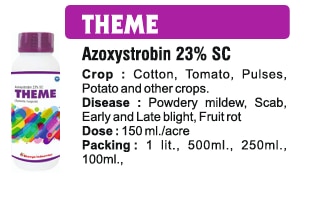 🌾 Bhavya Industries Indore – THEMERogon par Tez, Vishwas mein MazbootAt Bhavya Industries Indore, we are driven by our commitment to support farmers with advanced and effective solutions that protect crops and boost yields. For comprehensive control against fungal diseases, we proudly introduce:THEME (Azoxystrobin 23% SC)A systemic strobilurin fungicide offering fast and long-lasting protection against a wide range of fungal infections, helping crops stay healthy and productive.✅ Crops: Wheat, Paddy, Maize, Grapes, Fruits, Vegetables, Pulses & Oilseeds.✅ Targets Diseases: Rusts, Leaf Spots, Blights, Powdery Mildew, Sheath Blight & other fungal threats.✅ Mode of Action: Inhibits fungal respiration, preventing spore germination and disease spread.Key Benefits of THEMEFast & Systemic Action – penetrates plant tissues for deep protection.Prevents & Controls Diseases – stops fungal growth at early stages.Enhances Crop Health – improves greenness, flowering, and overall vigor.Boosts Yield & Quality – protects plants from loss and ensures better harvests.CEO’s Message“At Bhavya Industries Indore, we understand that timely disease control can make the difference between a normal crop and an exceptional one. THEME is our commitment to providing farmers with powerful, reliable protection that ensures healthy crops and higher returns. With THEME, farmers can fight fungal diseases confidently and achieve better outcomes.”🌾 भव्य इंडस्ट्रीज इंदौर - थीमरोगों पर तेज़, विश्वास में मज़बूतभव्य इंडस्ट्रीज इंदौर में, हम किसानों को उन्नत और प्रभावी समाधान प्रदान करने की अपनी प्रतिबद्धता से प्रेरित हैं जो फसलों की सुरक्षा और उपज को बढ़ाते हैं। फफूंद जनित रोगों के व्यापक नियंत्रण के लिए, हम गर्व से प्रस्तुत करते हैं:थीम (एज़ोक्सीस्ट्रोबिन 23% एससी)एक प्रणालीगत स्ट्रोबिलुरिन कवकनाशी जो विभिन्न प्रकार के फफूंद संक्रमणों से तेज़ और दीर्घकालिक सुरक्षा प्रदान करता है, जिससे फसलों को स्वस्थ और उत्पादक बने रहने में मदद मिलती है।✅ फसलें: गेहूँ, धान, मक्का, अंगूर, फल, सब्जियाँ, दलहन और तिलहन।✅ रोगों को लक्षित करता है: रतुआ, पत्ती के धब्बे, झुलसा रोग, चूर्णी फफूंदी, शीथ ब्लाइट और अन्य फफूंद जनित खतरे।✅ क्रियाविधि: कवक श्वसन को रोकता है, बीजाणुओं के अंकुरण और रोग के प्रसार को रोकता है।थीम के प्रमुख लाभतेज़ और व्यवस्थित क्रिया - पौधों के ऊतकों में गहराई तक जाकर सुरक्षा प्रदान करती है।रोगों की रोकथाम और नियंत्रण - प्रारंभिक अवस्था में ही फफूंद की वृद्धि को रोकती है।फसल के स्वास्थ्य को बढ़ाती है - हरियाली, पुष्पन और समग्र शक्ति में सुधार करती है।उपज और गुणवत्ता बढ़ाती है - पौधों को नुकसान से बचाती है और बेहतर फसल सुनिश्चित करती है।सीईओ का संदेश“भव्य इंडस्ट्रीज इंदौर में, हम समझते हैं कि समय पर रोग नियंत्रण एक सामान्य फसल और एक असाधारण फसल के बीच अंतर ला सकता है। थीम किसानों को शक्तिशाली, विश्वसनीय सुरक्षा प्रदान करने के लिए हमारी प्रतिबद्धता है जो स्वस्थ फसलों और अधिक लाभ सुनिश्चित करती है। थीम के साथ, किसान आत्मविश्वास से फफूंद जनित रोगों से लड़ सकते हैं और बेहतर परिणाम प्राप्त कर सकते हैं।”
