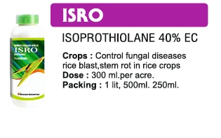 🌾 Bhavya Industries Indore – ISRORogon ke Khilaf Tez Raksha, Fasal ke Liye VishwasAt Bhavya Industries Indore, we are passionate about helping farmers face crop diseases with innovative and dependable solutions. For effective control of fungal infections and stronger, healthier crops, we proudly introduce:ISRO (Isoprothiolane 40% EC)A specialized systemic fungicide formulated to combat major fungal diseases, offering curative action and enhancing plant protection for improved yields.✅ Crops: Paddy, Wheat, Fruits, Vegetables & Oilseeds.✅ Targets Diseases: Blast, Sheath Blight, Leaf Spot, Stem Rot & other serious fungal threats.✅ Mode of Action: Inhibits fungal growth by blocking essential metabolic processes, curing infections and stopping spread.Key Benefits of ISROFast Systemic Action – enters plant tissues for deep and lasting protection.Curative Effectiveness – controls existing infections and prevents further damage.Promotes Plant Health – strengthens plant growth, improves photosynthesis, and enhances resistance.Higher Yield & Profit – reduces disease loss and ensures better crop output.CEO’s Message“At Bhavya Industries Indore, we know how fungal diseases can threaten a farmer’s hard work. ISRO is our scientifically proven solution, offering quick and systemic protection that restores crop health and ensures better harvests. With ISRO, farmers can safeguard their fields and grow with confidence.🌾 भव्य इंडस्ट्रीज इंदौर - इसरोरोगों के खिलाफ तेज़ रक्षा, फसल के लिए विश्वासभव्य इंडस्ट्रीज इंदौर में, हम किसानों को नवीन और विश्वसनीय समाधानों के साथ फसल रोगों का सामना करने में मदद करने के लिए तत्पर हैं। फफूंद संक्रमणों पर प्रभावी नियंत्रण और मज़बूत, स्वस्थ फसलों के लिए, हम गर्व से प्रस्तुत करते हैं:इसरो (आइसोप्रोथियोलेन 40% ईसी)प्रमुख फफूंद रोगों से निपटने के लिए तैयार किया गया एक विशेष प्रणालीगत कवकनाशी, जो उपचारात्मक क्रिया प्रदान करता है और बेहतर पैदावार के लिए पौध संरक्षण को बढ़ाता है।✅ फसलें: धान, गेहूँ, फल, सब्जियाँ और तिलहन।✅ रोगों को लक्षित करता है: ब्लास्ट, शीथ ब्लाइट, लीफ स्पॉट, स्टेम रॉट और अन्य गंभीर फफूंद संबंधी खतरे।✅ क्रियाविधि: आवश्यक चयापचय प्रक्रियाओं को अवरुद्ध करके, संक्रमणों का इलाज करके और फैलाव को रोककर कवक वृद्धि को रोकता है।इसरो के प्रमुख लाभतेज़ प्रणालीगत क्रिया - गहरी और स्थायी सुरक्षा के लिए पौधों के ऊतकों में प्रवेश करता है।उपचारात्मक प्रभावकारिता - मौजूदा संक्रमणों को नियंत्रित करती है और आगे होने वाले नुकसान को रोकती है।पौधों के स्वास्थ्य को बढ़ावा देती है - पौधों की वृद्धि को मज़बूत करती है, प्रकाश संश्लेषण में सुधार करती है और प्रतिरोधक क्षमता को बढ़ाती है।अधिक उपज और लाभ - रोग क्षति को कम करती है और बेहतर फसल उत्पादन सुनिश्चित करती है।सीईओ का संदेश”भव्य इंडस्ट्रीज इंदौर में, हम जानते हैं कि फफूंद जनित रोग किसानों की कड़ी मेहनत को कैसे खतरे में डाल सकते हैं। इसरो हमारा वैज्ञानिक रूप से सिद्ध समाधान है, जो त्वरित और व्यवस्थित सुरक्षा प्रदान करता है जिससे फसल का स्वास्थ्य बहाल होता है और बेहतर उपज सुनिश्चित होती है। इसरो के साथ, किसान अपने खेतों की सुरक्षा कर सकते हैं और आत्मविश्वास के साथ खेती कर सकते हैं।