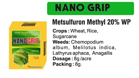 🌱 Bhavya Industries Indore – NENO GRIPGhaas aur Jhaadon par Pakka Control, Fasal ko De Saaf-Suthri SurakshaAt Bhavya Industries Indore, we are committed to helping farmers maintain healthy crops by offering smart, efficient, and eco-friendly solutions. For superior weed management and better crop growth, we proudly present:NENO GRIP (Metsulfuron Methyl 20% WP)A selective post-emergence herbicide, specially formulated to control a wide range of broadleaf weeds and grassy weeds, ensuring crops grow in a clean and disease-free environment.✅ Crops: Wheat, Rice, Maize, Sugarcane & Other Field Crops.✅ Targets Weeds: Broadleaf weeds, grassy weeds, sedges & other stubborn unwanted plants.✅ Mode of Action: Stops weed growth by disrupting essential amino acid synthesis, resulting in quick and effective control.Key Benefits of NENO GRIP✅ Selective & Safe – targets weeds without harming the crop.✅ Fast Action – controls weeds quickly, improving nutrient availability to crops.✅ Enhanced Crop Health – promotes better growth and development.✅ Increases Yield & Efficiency – reduces competition and boosts productivity.CEO’s Message“At Bhavya Industries Indore, we know that weeds are one of the biggest obstacles to achieving healthy and high-yield crops. NENO GRIP is our trusted solution, designed to help farmers take control of weeds efficiently while supporting crop growth and profitability. With NENO GRIP, farmers can confidently manage unwanted growth and focus on harvesting the best results.🌱 भव्य इंडस्ट्रीज इंदौर - नेनो ग्रिपघास और झाड़ियों पर पक्का नियंत्रण, फसल को दे साफ-सुथरी सुरक्षाभव्य इंडस्ट्रीज इंदौर में, हम स्मार्ट, कुशल और पर्यावरण-अनुकूल समाधान प्रदान करके किसानों को स्वस्थ फसलें बनाए रखने में मदद करने के लिए प्रतिबद्ध हैं। बेहतर खरपतवार प्रबंधन और बेहतर फसल वृद्धि के लिए, हम गर्व से प्रस्तुत करते हैं:नेनो ग्रिप (मेटसल्फ्यूरॉन मिथाइल 20% WP)एक चयनात्मक पश्च-उद्भव शाकनाशी, जो विशेष रूप से चौड़ी पत्ती वाले खरपतवारों और घास वाले खरपतवारों की एक विस्तृत श्रृंखला को नियंत्रित करने के लिए तैयार किया गया है, यह सुनिश्चित करता है कि फसलें स्वच्छ और रोग-मुक्त वातावरण में उगें।✅ फसलें: गेहूँ, चावल, मक्का, गन्ना और अन्य खेत की फसलें।✅ खरपतवारों पर लक्षित: चौड़ी पत्ती वाले खरपतवार, घास वाले खरपतवार, सेज और अन्य जिद्दी अवांछित पौधे।✅ क्रियाविधि: आवश्यक अमीनो अम्ल संश्लेषण को बाधित करके खरपतवार की वृद्धि को रोकता है, जिससे त्वरित और प्रभावी नियंत्रण प्राप्त होता है।नीनो ग्रिप के प्रमुख लाभ✅ चयनात्मक और सुरक्षित - फसल को नुकसान पहुँचाए बिना खरपतवारों पर नियंत्रण करता है।✅ तेज़ क्रिया - खरपतवारों को शीघ्र नियंत्रित करता है, फसलों को पोषक तत्वों की उपलब्धता में सुधार करता है।✅ बेहतर फसल स्वास्थ्य - बेहतर वृद्धि और विकास को बढ़ावा देता है।✅ उपज और दक्षता बढ़ाता है - प्रतिस्पर्धा कम करता है और उत्पादकता बढ़ाता है।सीईओ का संदेश”भव्य इंडस्ट्रीज इंदौर में, हम जानते हैं कि खरपतवार स्वस्थ और उच्च उपज वाली फसलें प्राप्त करने में सबसे बड़ी बाधाओं में से एक हैं। नीनो ग्रिप हमारा विश्वसनीय समाधान है, जिसे किसानों को फसल की वृद्धि और लाभप्रदता को बढ़ावा देते हुए खरपतवारों पर कुशलतापूर्वक नियंत्रण करने में मदद करने के लिए डिज़ाइन किया गया है। नीनो ग्रिप के साथ, किसान आत्मविश्वास से अवांछित वृद्धि का प्रबंधन कर सकते हैं और सर्वोत्तम परिणामों पर ध्यान केंद्रित कर सकते हैं।