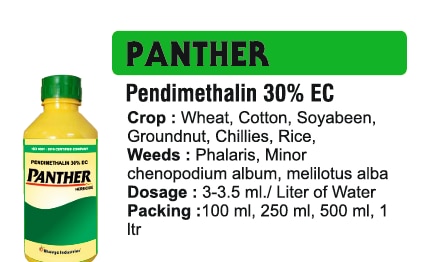 🌱 Bhavya Industries Indore – PANTHERShuruaat se Hi Ghaas Par Karo Tez Hamla, Fasal Ko Do Saaf Aur Mazboot SurakshaAt Bhavya Industries Indore, we are committed to supporting farmers with advanced and reliable crop protection solutions that help them prevent weed problems right from the start. For effective pre-emergence and early weed control, we proudly present:PANTHER (Pendimethalin 30% EC)A pre-emergence herbicide, formulated to control a wide range of grassy and broadleaf weeds before they emerge, helping crops establish quickly and grow healthy without competition.✅ Crops: Paddy, Wheat, Maize, Soybean, Cotton & Various Field Crops.✅ Targets Weeds: Grasses, Broadleaf weeds, Annual weeds & more.✅ Mode of Action: Prevents weed seeds from germinating, ensuring a weed-free environment during critical early growth stages.Key Benefits of PANTHER✅ Pre-Emergence Control – stops weeds before they appear, saving time and effort.✅ Improves Crop Establishment – allows seedlings to grow faster and healthier.✅ Reduces Nutrient Competition – ensures crops get the maximum nutrition and sunlight.✅ Boosts Yield & Profitability – minimizes weed-related losses and enhances harvest outcomes.CEO’s Message“At Bhavya Industries Indore, we understand that early weed control is key to a successful crop season. PANTHER is our scientifically formulated solution that helps farmers take control from the very beginning, ensuring crops have the best chance to grow strong, healthy, and productive. With PANTHER, farmers can prevent weed-related problems and focus on achieving higher yields and better returns.🌱 भव्य इंडस्ट्रीज इंदौर - पैंथरशुरुआत से ही घास पर करो तेज़ हमला, फसल को दो साफ़ और मज़बूत सुरक्षाभव्य इंडस्ट्रीज इंदौर में, हम किसानों को उन्नत और विश्वसनीय फसल सुरक्षा समाधानों के साथ समर्थन देने के लिए प्रतिबद्ध हैं जो उन्हें शुरुआत से ही खरपतवार की समस्याओं से बचाने में मदद करते हैं। प्रभावी पूर्व-उदय और प्रारंभिक खरपतवार नियंत्रण के लिए, हम गर्व से प्रस्तुत करते हैं:पैंथर (पेंडिमेथालिन 30% ईसी)एक पूर्व-उदय शाकनाशी, जो घास और चौड़ी पत्ती वाले खरपतवारों की एक विस्तृत श्रृंखला को उनके उगने से पहले नियंत्रित करने के लिए तैयार किया गया है, जिससे फसलों को जल्दी से स्थापित होने और बिना किसी प्रतिस्पर्धा के स्वस्थ विकास करने में मदद मिलती है।✅ फसलें: धान, गेहूँ, मक्का, सोयाबीन, कपास और विभिन्न खेत की फसलें।✅ खरपतवारों पर लक्षित: घास, चौड़ी पत्ती वाले खरपतवार, वार्षिक खरपतवार और अन्य।✅ क्रियाविधि: खरपतवार के बीजों को अंकुरित होने से रोकता है, जिससे शुरुआती महत्वपूर्ण विकास चरणों के दौरान खरपतवार मुक्त वातावरण सुनिश्चित होता है।पैंथर के प्रमुख लाभ✅ उगने से पहले नियंत्रण - खरपतवारों को उगने से पहले ही रोक देता है, जिससे समय और मेहनत की बचत होती है।✅ फसल की स्थापना में सुधार - पौधों को तेज़ी से और स्वस्थ रूप से बढ़ने में मदद करता है।✅ पोषक तत्वों की प्रतिस्पर्धा को कम करता है - यह सुनिश्चित करता है कि फसलों को अधिकतम पोषण और धूप मिले।✅ उपज और लाभप्रदता बढ़ाता है - खरपतवार से संबंधित नुकसान को कम करता है और फसल के परिणामों को बेहतर बनाता है।सीईओ का संदेश”भव्य इंडस्ट्रीज इंदौर में, हम समझते हैं कि खरपतवार पर जल्दी नियंत्रण एक सफल फसल सीजन की कुंजी है। पैंथर हमारा वैज्ञानिक रूप से तैयार किया गया समाधान है जो किसानों को शुरुआत से ही नियंत्रण रखने में मदद करता है, यह सुनिश्चित करता है कि फसलों को मजबूत, स्वस्थ और उत्पादक बनने का सबसे अच्छा मौका मिले। पैंथर के साथ, किसान खरपतवार संबंधी समस्याओं को रोक सकते हैं और अधिक उपज और बेहतर लाभ प्राप्त करने पर ध्यान केंद्रित कर सकते हैं।