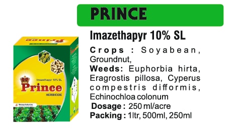 🌱 Bhavya Industries Indore – PRINCEGhaas-Jhaadon Par Raaj Karo, Fasal Ko Do Saaf, Surakshit Aur Mazboot VikasAt Bhavya Industries Indore, we are dedicated to empowering farmers with modern, reliable, and effective solutions that help them manage weeds, protect crops, and maximize yield. For smart and efficient weed management, we proudly introduce:PRINCE (Imazethapyr 10% SL)A selective post-emergence herbicide, specially designed to control a wide spectrum of weeds in pulses, soybeans, and other crops, ensuring clean fields and better plant growth.✅ Crops: Soybean, Pulses (like Chickpea, Lentil), Peas, and Other Field Crops.✅ Targets Weeds: Broadleaf weeds, grassy weeds, sedges, and problem weeds affecting early growth.✅ Mode of Action: Absorbed by roots and shoots, inhibiting weed growth at critical stages and ensuring crop safety.Key Benefits of PRINCE✅ Selective Weed Control – protects crops while targeting weeds effectively.✅ Early Stage Protection – supports seedlings by reducing competition from weeds.✅ Improves Nutrient Absorption – enhances crop health and growth.✅ Boosts Yield – minimizes crop loss and improves productivity.CEO’s Message“At Bhavya Industries Indore, we know that weeds are one of the biggest challenges in achieving healthy crops and better harvests. PRINCE is our scientifically formulated solution, offering selective and efficient weed control, allowing crops to thrive without interference. With PRINCE, farmers can confidently manage weeds, ensure crop safety, and work toward higher yields and greater profitability.”🌱 भव्य इंडस्ट्रीज इंदौर - प्रिंसघास-झाड़ियों पर राज करो, फसल को दो साफ, सुरक्षित और मज़बूत विकासभव्य इंडस्ट्रीज इंदौर में, हम किसानों को आधुनिक, विश्वसनीय और प्रभावी समाधानों से सशक्त बनाने के लिए समर्पित हैं जो उन्हें खरपतवार प्रबंधन, फसलों की सुरक्षा और अधिकतम उपज में मदद करते हैं। स्मार्ट और कुशल खरपतवार प्रबंधन के लिए, हम गर्व से प्रस्तुत करते हैं:प्रिंस (इमेजेथापायर 10% एसएल)एक चयनात्मक पश्च-उद्भव शाकनाशी, जो विशेष रूप से दलहन, सोयाबीन और अन्य फसलों में खरपतवारों की एक विस्तृत श्रृंखला को नियंत्रित करने के लिए डिज़ाइन किया गया है, जिससे स्वच्छ खेत और बेहतर पौधों की वृद्धि सुनिश्चित होती है।✅ फसलें: सोयाबीन, दलहन (जैसे चना, मसूर), मटर और अन्य खेत की फसलें।✅ खरपतवारों पर लक्षित: चौड़ी पत्ती वाले खरपतवार, घास वाले खरपतवार, सेज और शुरुआती वृद्धि को प्रभावित करने वाले समस्याग्रस्त खरपतवार।✅ क्रियाविधि: जड़ों और टहनियों द्वारा अवशोषित, महत्वपूर्ण अवस्थाओं में खरपतवारों की वृद्धि को रोकता है और फसल सुरक्षा सुनिश्चित करता है।प्रिंस के प्रमुख लाभ✅ चयनात्मक खरपतवार नियंत्रण - खरपतवारों को प्रभावी ढंग से लक्षित करते हुए फसलों की सुरक्षा करता है।✅ प्रारंभिक अवस्था में सुरक्षा - खरपतवारों से प्रतिस्पर्धा को कम करके पौध को सहारा देता है।✅ पोषक तत्वों के अवशोषण में सुधार - फसल के स्वास्थ्य और विकास को बढ़ाता है।✅ उपज बढ़ाता है - फसल की हानि को कम करता है और उत्पादकता में सुधार करता है।सीईओ का संदेश“भव्य इंडस्ट्रीज इंदौर में, हम जानते हैं कि स्वस्थ फसल और बेहतर उपज प्राप्त करने में खरपतवार सबसे बड़ी चुनौतियों में से एक हैं। प्रिंस हमारा वैज्ञानिक रूप से तैयार किया गया समाधान है, जो चयनात्मक और कुशल खरपतवार नियंत्रण प्रदान करता है, जिससे फसलें बिना किसी बाधा के फलती-फूलती हैं। प्रिंस के साथ, किसान आत्मविश्वास से खरपतवारों का प्रबंधन कर सकते हैं, फसल सुरक्षा सुनिश्चित कर सकते हैं, और अधिक उपज और अधिक लाभप्रदता की दिशा में काम कर सकते हैं।”
