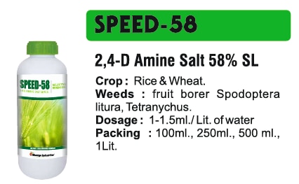 🌱 Bhavya Industries Indore – SPEED 58Ghaas aur Jhaadon Par Tez Niyantran, Fasal Ko De Saaf Aur Surakshit VikasAt Bhavya Industries Indore, we are proud to support farmers with powerful and trusted crop protection solutions that help them overcome weed challenges and achieve healthy, high-yield crops. For efficient and fast weed management, we proudly present:SPEED 58 (2,4-D Amine Salt 58% SL)A selective post-emergence herbicide, designed to control a wide variety of broadleaf weeds in crops, ensuring that crops get the nutrients, sunlight, and space they need to grow strong and healthy.✅ Crops: Wheat, Maize, Rice, Pastures, and Other Field Crops.✅ Targets Weeds: Broadleaf weeds, dicotyledonous weeds, and problem weeds affecting early and mid-growth stages.✅ Mode of Action: Absorbed through leaves, disrupting weed growth and development, leading to effective and fast weed control.Key Benefits of SPEED 58✅ Fast Acting Formula – provides quick and reliable weed control.✅ Selective Herbicide – protects crops while eliminating broadleaf weeds.✅ Improves Crop Health – enhances nutrient and sunlight availability for better growth.✅ Boosts Yield – reduces weed competition, ensuring higher productivity.CEO’s Message“At Bhavya Industries Indore, we understand that weeds can seriously affect crop health and reduce profitability. SPEED 58 is our scientifically designed solution to help farmers control broadleaf weeds effectively, ensuring healthier crops and better yields. With SPEED 58, farmers can confidently protect their fields, reduce labor, and focus on maximizing productivity and profits.”🌱 भव्य इंडस्ट्रीज इंदौर - स्पीड 58घास और झाड़ियों पर तेज़ नियंत्रण, फसल को साफ़ और सुरक्षित विकासभव्य इंडस्ट्रीज इंदौर में, हमें किसानों को शक्तिशाली और विश्वसनीय फसल सुरक्षा समाधानों के साथ समर्थन देने पर गर्व है जो उन्हें खरपतवार की चुनौतियों से निपटने और स्वस्थ, उच्च उपज वाली फसलें प्राप्त करने में मदद करते हैं। कुशल और तेज़ खरपतवार प्रबंधन के लिए, हम गर्व से प्रस्तुत करते हैं:स्पीड 58 (2,4-डी एमाइन सॉल्ट 58% एसएल)एक चयनात्मक पश्च-उद्भव शाकनाशी, जिसे फसलों में विभिन्न प्रकार के चौड़ी पत्ती वाले खरपतवारों को नियंत्रित करने के लिए डिज़ाइन किया गया है, यह सुनिश्चित करता है कि फसलों को आवश्यक पोषक तत्व, सूर्य का प्रकाश और स्थान मिले ताकि वे मज़बूत और स्वस्थ रूप से विकसित हो सकें।✅ फसलें: गेहूँ, मक्का, चावल, चारागाह और अन्य खेत की फसलें।✅ खरपतवारों को लक्षित करता है: चौड़ी पत्ती वाले खरपतवार, द्विबीजपत्री खरपतवार, और शुरुआती और मध्य-विकास चरणों को प्रभावित करने वाले समस्याग्रस्त खरपतवार।✅ क्रिया विधि: पत्तियों के माध्यम से अवशोषित होकर, खरपतवार की वृद्धि और विकास को बाधित करता है, जिससे प्रभावी और तेज़ खरपतवार नियंत्रण होता है।SPEED 58 के प्रमुख लाभ✅ तेज़ असर वाला फ़ॉर्मूला - त्वरित और विश्वसनीय खरपतवार नियंत्रण प्रदान करता है।✅ चयनात्मक शाकनाशी - चौड़ी पत्ती वाले खरपतवारों को नष्ट करते हुए फसलों की रक्षा करता है।✅ फसल के स्वास्थ्य में सुधार करता है - बेहतर विकास के लिए पोषक तत्वों और सूर्य के प्रकाश की उपलब्धता को बढ़ाता है।✅ उपज बढ़ाता है - खरपतवार प्रतिस्पर्धा को कम करता है, जिससे उच्च उत्पादकता सुनिश्चित होती है।सीईओ का संदेश“भव्य इंडस्ट्रीज इंदौर में, हम समझते हैं कि खरपतवार फसलों के स्वास्थ्य को गंभीर रूप से प्रभावित कर सकते हैं और लाभप्रदता को कम कर सकते हैं। स्पीड 58 हमारा वैज्ञानिक रूप से डिज़ाइन किया गया समाधान है जो किसानों को चौड़ी पत्ती वाले खरपतवारों को प्रभावी ढंग से नियंत्रित करने में मदद करता है, जिससे स्वस्थ फसलें और बेहतर उपज सुनिश्चित होती है। स्पीड 58 के साथ, किसान आत्मविश्वास से अपने खेतों की रक्षा कर सकते हैं, श्रम को कम कर सकते हैं, और उत्पादकता और लाभ को अधिकतम करने पर ध्यान केंद्रित कर सकते हैं।”