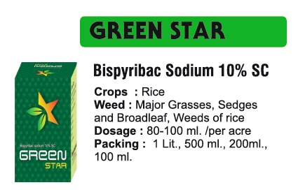 🌱 Bhavya Industries Indore – GREEN STARGhaas-Jhaadon Par Tez Aur Vishwasniya Niyantran, Fasal Ko De Saaf, Surakshit Aur Behtar VikasAt Bhavya Industries Indore, we are committed to helping farmers fight weeds with modern, safe, and highly effective solutions that support better crop growth and maximize yield. For reliable post-emergence weed control, we proudly introduce:GREEN STAR (Bisypribac Sodium 10% SC)A selective post-emergence herbicide, specially formulated to control grassy weeds in rice and other crops, ensuring that crops grow in a weed-free environment with full access to nutrients and sunlight.✅ Crops: Rice and Other Paddy Fields.✅ Targets Weeds: Grassy weeds like barnyard grass, jungli ghaas, and other problematic grasses.✅ Mode of Action: Absorbed by leaves, it inhibits weed growth by interfering with essential metabolic processes, providing fast and targeted control.Key Benefits of GREEN STAR✅ Selective Grassy Weed Control – effectively targets weeds without harming the crop.✅ Fast & Reliable Action – controls weeds quickly, reducing competition for resources.✅ Enhances Crop Growth – ensures better nutrient absorption, sunlight access, and healthier plants.✅ Improves Yield – reduces weed interference and boosts productivity.CEO’s Message“At Bhavya Industries Indore, we understand the importance of protecting crops from weeds to ensure healthy growth and higher profits. GREEN STAR is our scientifically crafted solution that helps farmers control grassy weeds effectively, supporting stronger and more resilient crops. With GREEN STAR, farmers can confidently manage weeds and focus on producing abundant, high-quality harvests.”🌱 भव्य इंडस्ट्रीज इंदौर - ग्रीन स्टारघास-झाड़ियों पर तेज़ और विश्वव्यापी नियंत्रण, फसल को दे साफ़, सुरक्षित और बेहतर विकासभव्य इंडस्ट्रीज इंदौर में, हम किसानों को आधुनिक, सुरक्षित और अत्यधिक प्रभावी समाधानों के साथ खरपतवारों से लड़ने में मदद करने के लिए प्रतिबद्ध हैं जो बेहतर फसल वृद्धि और अधिकतम उपज में सहायक हैं। विश्वसनीय खरपतवार नियंत्रण के लिए, हम गर्व से प्रस्तुत करते हैं:ग्रीन स्टार (बिसिप्रिबैक सोडियम 10% एससी)एक चयनात्मक खरपतवारनाशक, जो चावल और अन्य फसलों में घास वाले खरपतवारों को नियंत्रित करने के लिए विशेष रूप से तैयार किया गया है, यह सुनिश्चित करता है कि फसलें खरपतवार मुक्त वातावरण में पोषक तत्वों और सूर्य के प्रकाश की पूर्ण पहुँच के साथ उगें।✅ फसलें: चावल और अन्य धान के खेत।✅ खरपतवारों पर लक्षित: घास वाले खरपतवार जैसे बार्नयार्ड घास, जंगली घास और अन्य समस्याग्रस्त घास।✅ क्रियाविधि: पत्तियों द्वारा अवशोषित होने के कारण, यह आवश्यक चयापचय प्रक्रियाओं में हस्तक्षेप करके खरपतवारों की वृद्धि को रोकता है, जिससे तेज़ और लक्षित नियंत्रण प्राप्त होता है।ग्रीन स्टार के प्रमुख लाभ✅ चयनात्मक घासीय खरपतवार नियंत्रण - फसल को नुकसान पहुँचाए बिना खरपतवारों पर प्रभावी रूप से नियंत्रण करता है।✅ तेज़ और विश्वसनीय क्रिया - खरपतवारों को शीघ्रता से नियंत्रित करता है, संसाधनों के लिए प्रतिस्पर्धा को कम करता है।✅ फसल वृद्धि को बढ़ाता है - बेहतर पोषक तत्व अवशोषण, सूर्य के प्रकाश की पहुँच और स्वस्थ पौधों को सुनिश्चित करता है।✅ उपज में सुधार करता है - खरपतवारों के हस्तक्षेप को कम करता है और उत्पादकता को बढ़ाता है।सीईओ का संदेश“भव्य इंडस्ट्रीज इंदौर में, हम स्वस्थ विकास और अधिक लाभ सुनिश्चित करने के लिए फसलों को खरपतवारों से बचाने के महत्व को समझते हैं। ग्रीन स्टार हमारा वैज्ञानिक रूप से तैयार किया गया समाधान है जो किसानों को घासीय खरपतवारों को प्रभावी ढंग से नियंत्रित करने में मदद करता है, जिससे अधिक मज़बूत और अधिक लचीली फसलें प्राप्त होती हैं। ग्रीन स्टार के साथ, किसान आत्मविश्वास से खरपतवारों का प्रबंधन कर सकते हैं और प्रचुर, उच्च-गुणवत्ता वाली फसल पैदा करने पर ध्यान केंद्रित कर सकते हैं।”