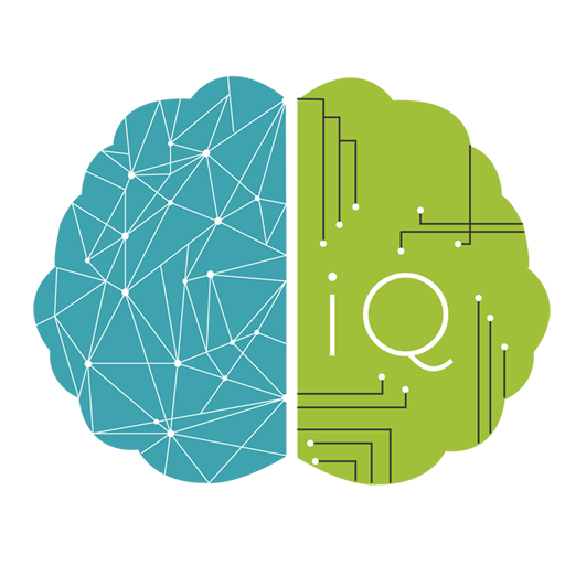 IQ Assesment
