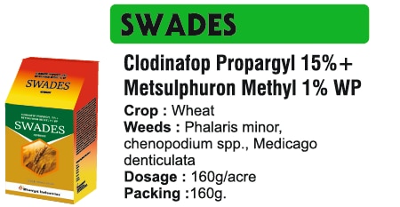 🌱 Bhavya Industries Indore – SWADESGhaas aur Jhaadon par Sahi Hamla, Fasal Ko De Mazboot Suraksha Aur Behtareen VikasAt Bhavya Industries Indore, we are dedicated to helping farmers tackle tough weed challenges with advanced, safe, and highly effective solutions that ensure healthy crops and maximize yields. For superior post-emergence weed control, we proudly present:SWADES (Clodinafop Propargyl 15% + Metsulfuron Methyl 1% WP)A selective and dual-action herbicide, specially designed to control grassy weeds and broadleaf weeds in cereal crops, giving farmers a reliable and efficient tool to protect their fields during critical growth stages.✅ Crops: Wheat, Barley, and Other Cereal Crops.✅ Targets Weeds: Grasses like wild oats, and broadleaf weeds competing for nutrients and space.✅ Mode of Action: Combines two active ingredients to target weed growth at multiple points, ensuring faster, more thorough control while being safe for crops.Key Benefits of SWADES✅ Dual Action Formula – controls both grassy and broadleaf weeds effectively.✅ Fast and Targeted Weed Control – helps crops grow strong by eliminating competition early.✅ Improves Crop Health – enhances nutrient and water availability, promoting better development.✅ Boosts Yield and Quality – reduces losses and supports higher productivity.CEO’s Message“At Bhavya Industries Indore, we understand that weed management is crucial for protecting crop health and securing better harvests. SWADES is our advanced, dual-action herbicide that helps farmers efficiently control a wide range of weeds, ensuring that crops grow in a clean, nutrient-rich environment. With SWADES, farmers can confidently face weed challenges and focus on boosting crop performance and profitability.”🌱 भव्य इंडस्ट्रीज इंदौर - स्वदेशघास और झाड़ियों पर सही हमला, फसल को मज़बूत सुरक्षा और बेहतर विकासभव्य इंडस्ट्रीज इंदौर में, हम उन्नत, सुरक्षित और अत्यधिक प्रभावी समाधानों के साथ किसानों को कठिन खरपतवार चुनौतियों से निपटने में मदद करने के लिए समर्पित हैं जो स्वस्थ फसलें सुनिश्चित करते हैं और अधिकतम उपज प्रदान करते हैं। खरपतवारों के उभरने के बाद बेहतर नियंत्रण के लिए, हम गर्व से प्रस्तुत करते हैं:स्वदेश (क्लोडिनाफॉप प्रोपार्जिल 15% + मेटसल्फ्यूरॉन मिथाइल 1% WP)एक चयनात्मक और दोहरी क्रिया वाला शाकनाशी, जो विशेष रूप से अनाज वाली फसलों में घास वाले खरपतवारों और चौड़ी पत्ती वाले खरपतवारों को नियंत्रित करने के लिए डिज़ाइन किया गया है, जो किसानों को महत्वपूर्ण विकास चरणों के दौरान अपने खेतों की सुरक्षा के लिए एक विश्वसनीय और कुशल उपकरण प्रदान करता है।✅ फसलें: गेहूँ, जौ और अन्य अनाज वाली फसलें।✅ खरपतवारों पर लक्षित: जंगली जई जैसी घासें, और पोषक तत्वों और स्थान के लिए प्रतिस्पर्धा करने वाले चौड़ी पत्ती वाले खरपतवार।✅ क्रियाविधि: दो सक्रिय अवयवों को मिलाकर खरपतवारों की वृद्धि को कई बिंदुओं पर लक्षित करता है, जिससे फसलों के लिए सुरक्षित रहते हुए तेज़ और अधिक गहन नियंत्रण सुनिश्चित होता है।स्वदेस के प्रमुख लाभ✅ दोहरी क्रिया वाला फ़ॉर्मूला - घास वाले और चौड़ी पत्ती वाले, दोनों प्रकार के खरपतवारों को प्रभावी ढंग से नियंत्रित करता है।✅ तेज़ और लक्षित खरपतवार नियंत्रण - प्रतिस्पर्धा को जल्दी समाप्त करके फसलों को मज़बूती से बढ़ने में मदद करता है।✅ फसल के स्वास्थ्य में सुधार - पोषक तत्वों और पानी की उपलब्धता को बढ़ाता है, जिससे बेहतर विकास को बढ़ावा मिलता है।✅ उपज और गुणवत्ता बढ़ाता है - नुकसान कम करता है और उत्पादकता बढ़ाता है।सीईओ का संदेश“भव्य इंडस्ट्रीज इंदौर में, हम समझते हैं कि खरपतवार प्रबंधन फसलों के स्वास्थ्य की रक्षा और बेहतर फसल सुनिश्चित करने के लिए महत्वपूर्ण है। स्वदेस हमारा उन्नत, दोहरी क्रिया वाला शाकनाशी है जो किसानों को विभिन्न प्रकार के खरपतवारों को कुशलतापूर्वक नियंत्रित करने में मदद करता है, यह सुनिश्चित करता है कि फसलें स्वच्छ, पोषक तत्वों से भरपूर वातावरण में उगें। स्वदेस के साथ, किसान आत्मविश्वास से खरपतवार की चुनौतियों का सामना कर सकते हैं और फसल के प्रदर्शन और लाभप्रदता को बढ़ाने पर ध्यान केंद्रित कर सकते हैं।”