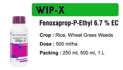 🌱 Bhavya Industries Indore – WIP XGhaas Par Tez Hamla, Fasal Ko De Saaf Aur Behtar VikasAt Bhavya Industries Indore, we are committed to supporting farmers with innovative, high-performance solutions that help protect crops, reduce weed competition, and increase productivity. For effective post-emergence weed control in cereal crops, we proudly introduce:WIP X (Fenoxaprop-P-Ethyl 6.7% EC)A selective post-emergence herbicide, expertly formulated to control grassy weeds, ensuring that crops get a clean environment for healthy and unhindered growth.✅ Crops: Wheat, Barley, and Other Cereal Crops.✅ Targets Weeds: Grassy weeds like wild oats, barnyard grass, and other troublesome species.✅ Mode of Action: Absorbed by leaves and shoots, it disrupts weed cell functions, stopping growth and eliminating competition.Key Benefits of WIP X✅ Selective Control – effectively removes grassy weeds without harming crops.✅ Fast and Efficient Action – targets weeds quickly, reducing crop stress and improving early growth.✅ Promotes Healthy Crops – ensures better nutrient and sunlight access for optimal development.✅ Increases Yield – reduces competition, helping crops perform at their best.CEO’s Message“At Bhavya Industries Indore, we know that grassy weeds can significantly affect crop yields and farmer incomes. WIP X is our trusted solution to give farmers a precise and effective tool for weed control, ensuring crops grow in a healthy and competitive-free environment. With WIP X, farmers can confidently manage weeds and focus on achieving stronger growth and higher productivity.”🌱 भव्य इंडस्ट्रीज इंदौर - WIP Xघास पर तेज़ हमला, फसल को साफ़ और बेहतर विकासभव्य इंडस्ट्रीज इंदौर में, हम किसानों को नवीन, उच्च-प्रदर्शन समाधानों के साथ समर्थन देने के लिए प्रतिबद्ध हैं जो फसलों की सुरक्षा, खरपतवार प्रतिस्पर्धा को कम करने और उत्पादकता बढ़ाने में मदद करते हैं। अनाज की फसलों में खरपतवारों के प्रभावी नियंत्रण के लिए, हम गर्व से प्रस्तुत करते हैं:WIP X (फेनोक्साप्रोप-पी-एथिल 6.7% EC)एक चयनात्मक, उगने के बाद खरपतवारनाशक, घास वाले खरपतवारों को नियंत्रित करने के लिए विशेष रूप से तैयार किया गया है, यह सुनिश्चित करता है कि फसलों को स्वस्थ और निर्बाध विकास के लिए एक स्वच्छ वातावरण मिले।✅ फसलें: गेहूँ, जौ और अन्य अनाज की फसलें।✅ खरपतवारों पर लक्षित: जंगली जई, बार्नयार्ड घास जैसे घास वाले खरपतवार और अन्य परेशान करने वाली प्रजातियाँ।✅ क्रियाविधि: पत्तियों और टहनियों द्वारा अवशोषित होकर, यह खरपतवार कोशिकाओं के कार्यों को बाधित करता है, वृद्धि को रोकता है और प्रतिस्पर्धा को समाप्त करता है।WIP X के प्रमुख लाभ✅ चयनात्मक नियंत्रण - फसलों को नुकसान पहुँचाए बिना घास वाले खरपतवारों को प्रभावी ढंग से हटाता है।✅ तेज़ और कुशल क्रिया - खरपतवारों पर शीघ्रता से नियंत्रण करता है, फसल के तनाव को कम करता है और प्रारंभिक वृद्धि में सुधार करता है।✅ स्वस्थ फसलों को बढ़ावा देता है - इष्टतम विकास के लिए बेहतर पोषक तत्व और सूर्य के प्रकाश की उपलब्धता सुनिश्चित करता है।✅ उपज बढ़ाता है - प्रतिस्पर्धा को कम करता है, जिससे फसलों को अपना सर्वश्रेष्ठ प्रदर्शन करने में मदद मिलती है।सीईओ का संदेश“भव्य इंडस्ट्रीज इंदौर में, हम जानते हैं कि घास वाले खरपतवार फसल की पैदावार और किसानों की आय को महत्वपूर्ण रूप से प्रभावित कर सकते हैं। WIP X हमारा विश्वसनीय समाधान है जो किसानों को खरपतवार नियंत्रण के लिए एक सटीक और प्रभावी उपकरण प्रदान करता है, जिससे यह सुनिश्चित होता है कि फसलें स्वस्थ और प्रतिस्पर्धा-मुक्त वातावरण में उगें। WIP X के साथ, किसान आत्मविश्वास से खरपतवारों का प्रबंधन कर सकते हैं और बेहतर विकास और उच्च उत्पादकता प्राप्त करने पर ध्यान केंद्रित कर सकते हैं।”