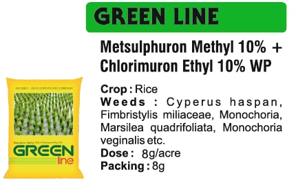 🌱 Bhavya Industries Indore – GREEN LINEHar Tarah Ke Jhaadon Par Sahi Niyantran, Fasal Ko De Behtar Suraksha Aur SehatAt Bhavya Industries Indore, we are committed to providing farmers with innovative, safe, and highly effective solutions that help protect crops, reduce weed pressure, and enhance productivity. For targeted weed management in pulses and other crops, we proudly introduce:GREEN LINE (Metsulfuron Methyl 10% + Chlorimuron Ethyl 10% WP)A selective post-emergence herbicide, specially designed to control a wide range of broadleaf and grassy weeds, ensuring crops grow in a clean, competition-free environment with better nutrient and sunlight access.✅ Crops: Chickpea, Pigeon Pea, Soybean, and Other Pulses.✅ Targets Weeds: Broadleaf weeds, grassy weeds, and other problem weeds affecting early and mid-growth stages.✅ Mode of Action: Combines two active ingredients to disrupt weed growth, providing faster and more thorough control while being safe for crops.Key Benefits of GREEN LINE✅ Dual Action Formula – effectively controls both broadleaf and grassy weeds.✅ Selective Weed Control – protects crops while eliminating competition.✅ Promotes Healthy Growth – ensures better nutrient absorption and sunlight exposure.✅ Increases Yield – supports higher productivity by reducing weed interference.CEO’s Message“At Bhavya Industries Indore, we understand the challenges farmers face in protecting their crops from weeds, which directly affect growth and profitability. GREEN LINE is our scientifically designed herbicide that provides targeted, dual-action control of weeds, helping crops thrive in a clean and healthy environment. With GREEN LINE, farmers can take proactive steps toward ensuring crop success and maximizing yields.”🌱 भव्य इंडस्ट्रीज इंदौर - ग्रीन लाइनहर तरह के झाड़ियों पर सही नियंत्रण, फसल को दे बेहतर सुरक्षा और सेहतभव्य इंडस्ट्रीज इंदौर में, हम किसानों को ऐसे नवीन, सुरक्षित और अत्यधिक प्रभावी समाधान प्रदान करने के लिए प्रतिबद्ध हैं जो फसलों की सुरक्षा, खरपतवारों के दबाव को कम करने और उत्पादकता बढ़ाने में मदद करते हैं। दलहन और अन्य फसलों में लक्षित खरपतवार प्रबंधन के लिए, हम गर्व से प्रस्तुत करते हैं:ग्रीन लाइन (मेटसल्फ्यूरॉन मिथाइल 10% + क्लोरिम्यूरॉन एथिल 10% WP)एक चयनात्मक पश्च-उद्भव शाकनाशी, जिसे विशेष रूप से चौड़ी पत्ती वाले और घास वाले खरपतवारों की एक विस्तृत श्रृंखला को नियंत्रित करने के लिए डिज़ाइन किया गया है, यह सुनिश्चित करता है कि फसलें बेहतर पोषक तत्वों और सूर्य के प्रकाश की पहुँच के साथ स्वच्छ, प्रतिस्पर्धा-मुक्त वातावरण में उगें।✅ फसलें: चना, अरहर, सोयाबीन और अन्य दलहन।✅ खरपतवारों को लक्षित करता है: चौड़ी पत्ती वाले खरपतवार, घास वाले खरपतवार, और अन्य समस्याग्रस्त खरपतवार जो शुरुआती और मध्य-विकास चरणों को प्रभावित करते हैं।✅ क्रिया विधि: खरपतवारों की वृद्धि को बाधित करने के लिए दो सक्रिय अवयवों को मिलाता है, जिससे फसलों के लिए सुरक्षित रहते हुए तेज़ और अधिक गहन नियंत्रण प्राप्त होता है।ग्रीन लाइन के प्रमुख लाभ✅ दोहरी क्रिया वाला फ़ॉर्मूला - चौड़ी पत्ती वाले और घास वाले दोनों खरपतवारों को प्रभावी ढंग से नियंत्रित करता है।✅ चयनात्मक खरपतवार नियंत्रण - प्रतिस्पर्धा को समाप्त करते हुए फसलों की रक्षा करता है।✅ स्वस्थ विकास को बढ़ावा देता है - बेहतर पोषक तत्व अवशोषण और सूर्य के प्रकाश के संपर्क को सुनिश्चित करता है।✅ उपज बढ़ाता है - खरपतवारों के हस्तक्षेप को कम करके उच्च उत्पादकता का समर्थन करता है।सीईओ का संदेश“भव्य इंडस्ट्रीज इंदौर में, हम किसानों के सामने आने वाली चुनौतियों को समझते हैं, जो खरपतवारों से अपनी फसलों की रक्षा करने में आती हैं, जो सीधे तौर पर विकास और लाभप्रदता को प्रभावित करती हैं। ग्रीन लाइन हमारा वैज्ञानिक रूप से डिज़ाइन किया गया शाकनाशी है जो खरपतवारों पर लक्षित, दोहरी क्रिया नियंत्रण प्रदान करता है, जिससे फसलों को स्वच्छ और स्वस्थ वातावरण में पनपने में मदद मिलती है। ग्रीन लाइन के साथ, किसान फसल की सफलता सुनिश्चित करने और उपज को अधिकतम करने की दिशा में सक्रिय कदम उठा सकते हैं।”