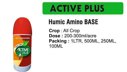 ACTIVE PLUS 