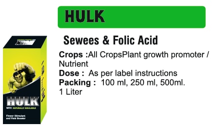🌱 भव्य इंडस्ट्रीज इंदौर - हल्क सीवीड और फोलिक एसिडहर पात को दे पोषण, हर फसल को दे नयी ऊर्जाभाव्या इंडस्ट्रीज इंदौर में, हम फसल के हर चरण को ध्यान में रखकर उन्नत, प्राकृतिक और टिकाऊ समाधान तैयार करते हैं। इसी क्रम में हम लेकर आए हैं हल्क सीवीड और फोलिक एसिड, एक वैज्ञानिक रूप से संतुलित पौधा विकास नियामक जो सीवीड अर्क और फोलिक एसिड के साथ मिलकर पौधे को मेटाबोलिक बूस्ट, तनाव सहनशीलता और तेजी से विकास प्रदान करता है।हल्क - प्राकृतिक शक्ति, जोरदार विकाससमुद्री शैवाल के अर्क पौधे को ट्रेस तत्व और वृद्धि हार्मोन प्रदान करते हैं, जबकी फोलिक एसिड चयापचय गतिविधियों का समर्थन करता है, प्रकाश संश्लेषण को तेज करता है और पोषक तत्व अवशोषण को बेहतर बनाता है। क्या संयोजन से फसल का विकास संतुलित, मजबूत और उत्पादक होता है।✅ उपयुक्त फसलें: सब्जी, फल, अनाज, तिलहन, दलहन और वृक्षारोपण फसलें।✅ लक्ष्य मुद्दे: धीमी वृद्धि, पोषक तत्वों की कमी, तनाव, खराब फूल, कमजोर प्रतिरक्षा।✅ क्रिया का तरीका: समुद्री शैवाल से प्राप्त प्राकृतिक हार्मोन और खनिज पौधों का चयापचय, पोषक तत्व ग्रहण और प्रतिरोध को बढ़ाते हैं, जबकी फोलिक एसिड पौधे के सेलुलर क्रियाओं को सुधार कर ऊर्जा और फूलों में मदद करता है।हल्क सीवीड और फोलिक एसिड के मुख्य लाभ✅ प्रकाश संश्लेषण को बढ़ावा देता है - तेजी से ऊर्जा उत्पादन और स्वस्थ पत्ती वृद्धि।✅ पोषक तत्व ग्रहण में सुधार - मिट्टी और हवा से पोषक तत्वों को जल्दी ग्रहण करने में सहायता।✅ प्रतिरक्षा को मजबूत करता है - तनाव और बीमारियों के खिलाफ प्राकृतिक रक्षा तंत्र को मजबूत करता है।✅ फूल और फल लगने को बढ़ाता है - फूल और फल लगने को बेहतर बनता है।✅ पर्यावरण-अनुकूल और टिकाऊ - प्राकृतिक तत्व पर आधार, पर्यावरण-अनुकूल समाधान।सीईओ का संदेश“भाव्या इंडस्ट्रीज इंदौर में हम हर किसान की मेहनत और फसल की सेहत को समझते हैं। हल्क सीवीड और फोलिक एसिड एक प्राकृतिक और वैज्ञानिक समाधान है जो सीवीड और फोलिक एसिड के शक्तिशाली संयोजन से फसल को मेटाबोलिक बूस्ट, पोषण और तनाव प्रतिरोध प्रदान करता है। हमारा लक्ष्य है हर किसान को टिकाऊ खेती के लिए बेहतर उपकरण और विश्वास देना।”