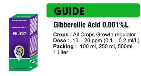 🌱 भाव्या इंडस्ट्रीज इंदौर - गाइड जिबरेलिक एसिड 0.001% एलफसल को दे विकास का मार्गदर्शन - हर चरण पर सही विकास, सही संतुलनभाव्या इंडस्ट्रीज इंदौर में, हम जानते हैं कि फसल की उन्नति के लिए सही हार्मोनल संतुलन और वैज्ञानिक पोषण जरूरी है। इसी संवेदनाओं को ध्यान में रखकर हम लेकर आए हैं गाइड जिबरेलिक एसिड 0.001% एल, एक सटीक फॉर्मूलेशन जो पौधे के विकास हार्मोन जिबरेलिक एसिड की उचिट मात्रा के साथ पौधे को फूल, बढ़ाव और विकास में बेहतर प्रदान करता है।गाइड - मजबूत और संतुलित विकास के लिए हार्मोनल समर्थनये उत्पाद नियंत्रित सांद्रता में जिबरेलिक एसिड देता है जो पौधे की चयापचय क्रियाओं को जागृत करता है, बीज अंकुरण को बेहतर बनाता है, फूलों को उत्तेजित करता है और पौधे को मजबूत विकास देता है। हर स्टेज पर फसल को सही हार्मोनल सिग्नल मिलता है, जिसकी उसकी ग्रोथ संतुलित और सेहतमंद होती है।✅ उपयुक्त फसलें: अनाज, सब्जी, फल, तिलहन, दलहन और नर्सरी फसलें।✅ लक्ष्य मुद्दे: खराब फूल, कमजोर अंकुर विस्तार, असमान विकास, कम अंकुरण दर।✅ क्रिया की विधि: जिबरेलिक एसिड बीज अंकुरण, कोशिका विभाजन, बढ़ाव और फूल को उत्तेजित करता है, जिसके पौधे का विकास तेजी से और संतुलित रूप से होता है।गाइड जिबरेलिक एसिड 0.001% एल के मुख्य लाभ✅ बीज अंकुरण को बढ़ावा देता है - beej ankuran ko tezi aur majbooti pradan karta hai.✅ फूल और फलन को बढ़ाता है - फूल और फल सेट को सुधार कर उत्पादन में वृद्धि करता है।✅ प्ररोह विकास को उत्तेजित करता है - पौधे के तन और शाखाओं को सेहतमंद और लम्बाई में मजबूत बनता है।✅ उपज की गुणवत्ता में सुधार - संतुलित हार्मोनल क्रिया से फसल का विकास और गुणवत्ता दोनों में सुधार।✅ सुरक्षित और नियंत्रित उपयोग - वैज्ञानिक रूप से तैयार, हर फसल के लिए सही मात्रा में उपयोगी।सीईओ का संदेश