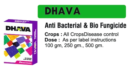 🌱 भाव्या इंडस्ट्रीज इंदौर - डीएचएवीए एंटी बैक्टीरियल और बायो फंगसाइडफसल को दे प्राकृतिक सुरक्षा - रोगन से बचाव और बेहतर विकासभाव्या इंडस्ट्रीज इंदौर में, हम खेती को सेहतमंद और टिकाऊ बनाने के लिए प्राकृतिक और वैज्ञानिक समाधानों को व्यावहारिक देते हैं। इसी उद्देश्य से हम लेकर आए हैं धावा एंटी बैक्टीरियल और बायो फंगसाइड, एक उन्नत फॉर्मूलेशन जो पौधे को बैक्टीरियल और फंगल हमलों से बचाता है, साथ ही विकास को बढ़ावा देकर टिकाऊ और स्वस्थ खेती का समर्थन करता है।धावा - रोगन से सुरक्षा, फसल को नई ऊर्जाये फॉर्मूलेशन एंटी-बैक्टीरियल और बायो-कवकनाशी गनों से भरपूर है जो मिट्टी से पैदा होने वाली और पत्ती की बीमारियों को नियंत्रित करता है, पौधे को मजबूत, तनाव-प्रतिरोधी और उत्पादक बनाता है। साथ ही, प्राकृतिक माइक्रोबियल संतुलन बनाए रखें पोषक तत्वों का अवशोषण और चयापचय क्रियाओं को सुधारता है।✅ उपयुक्त फसलें: सभी अनाज, सब्जी, फल, वृक्षारोपण फसलें और नर्सरी।✅ लक्ष्य मुद्दे: बैक्टीरियल विल्ट, फंगल संक्रमण, जड़ सड़न, पत्ती के धब्बे, तनाव, पोषक तत्वों की कमी।✅ क्रिया का तरीका: प्राकृतिक रोगाणु और जैव-सक्रिय यौगिक पौधों की प्रतिरक्षा प्रणाली को उत्तेजित करते हैं, कवक और जीवाणु रोगजनकों को नियंत्रित करते हैं, और चयापचय क्रियाओं को बेहतर बनाते हैं।DHAVA एंटी बैक्टीरियल और जैव कवकनाशी के मुख्य लाभ✅ बैक्टीरियल और फंगल रोगों को नियंत्रित करता है - रोगन को जड़ से रोकता है।✅ पौधों की रोग प्रतिरोधक क्षमता को बढ़ाता है - प्राकृतिक रक्षा तंत्र को मजबूत करता है।✅ पोषक तत्व अवशोषण को बढ़ावा देता है - पौधों का चयापचय और विकास को बढ़ाता है।✅ फसल की गुणवत्ता और उपज में सुधार - स्वस्थ पौधे का विकास और बेहतर उत्पादन।✅ पर्यावरण-अनुकूल समाधान - मिट्टी और फसल दोनों को सुरक्षा से प्राकृतिक माइक्रोबियल समर्थन।सीईओ का संदेश