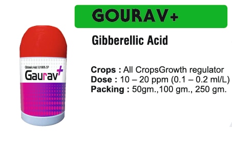 🌱 भाव्या इंडस्ट्रीज इंदौर - गौरव + जिबरेलिक एसिडफसल को दे विकास का गर्व - ताकत, वृद्धि और समृद्धिभाव्या इंडस्ट्रीज इंदौर में, हम किसानों के साथ मिलकर खेती को प्रगतिशील, टिकाऊ और लब्धदायक बनाने के लिए प्रतिभागित हैं। इसी दृष्टि से हम पेश कर रहे हैं गौरव + जिबरेलिक एसिड, एक उन्नत पौधा विकास नियामक जो नियंत्रित एकाग्रता में जिबरेलिक एसिड के साथ पौधे को बेहतर विकास, फूलों की उत्तेजना और चयापचय को बढ़ावा प्रदान करता है।गौरव - हर फसल को दे सम्मान और शक्तिये फॉर्मूलेशन प्लांट को हार्मोनल सपोर्ट देता है जो बीज अंकुरण, शूट बढ़ाव, फूल और फलने में मदद करता है। जिबरेलिक एसिड प्लांट के अंदर हार्मोनल क्रियाओं को सक्रिय कर विकास को तेज करता है, तनाव को कम करता है और फसल को मजबूत बनाता है। हर चरण पर फसल को सही पोषण और हार्मोनल संतुलन मिलता है।✅ लागू फसलें: सभी प्रकार की फसल - अनाज, फल, सब्जी, तिलहन, दलहन, बागवानी।✅ लक्ष्य मुद्दे: धीमी वृद्धि, खराब फूल, असमान विकास, तनाव, कम उपज।✅ क्रिया का तरीका: जिबरेलिक एसिड सेल बढ़ाव और विभाजन को उत्तेजित करता है, बीज अंकुरण को तेज करता है, फूल और फलने को सुधार कर फसल को मजबूत बनाता है।गौरव + जिबरेलिक एसिड के मुख्य लाभ✅ बीज के अंकुरण और प्रारंभिक विकास को बढ़ावा देता है - fasal ko shuruaat mein hi majbootbanata hai।✅ फूल और फल लगने को उत्तेजित करता है - फूल में वृद्धि और फल में सुधार।✅ शूट बढ़ाव को बढ़ाता है - तना और शाखाओं को सेहतमंद और लम्बे विकास में मदद।✅ उपज गुणवत्ता में सुधार - चयापचय संतुलन से उत्पादन और गुणवत्ता दोनों में वृद्धि।✅ प्राकृतिक और सुरक्षित - वैज्ञानिक रूप से तैयार, पर्यावरण-अनुकूल और टिकाऊ खेती के लिए उपयोगी।सीईओ का संदेश