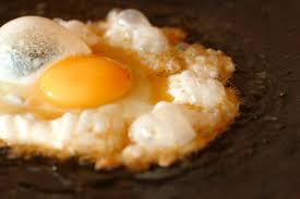 Tests eggs and processed products for salmonella, nutritional content, and overall quality.