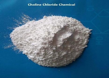 Choline chloride is primarily used as an animal feed additive to support livestock and poultry growth, reproduction, and overall health by preventing fatty liver syndrome, enhancing nutrient utilization, and boosting immune response.