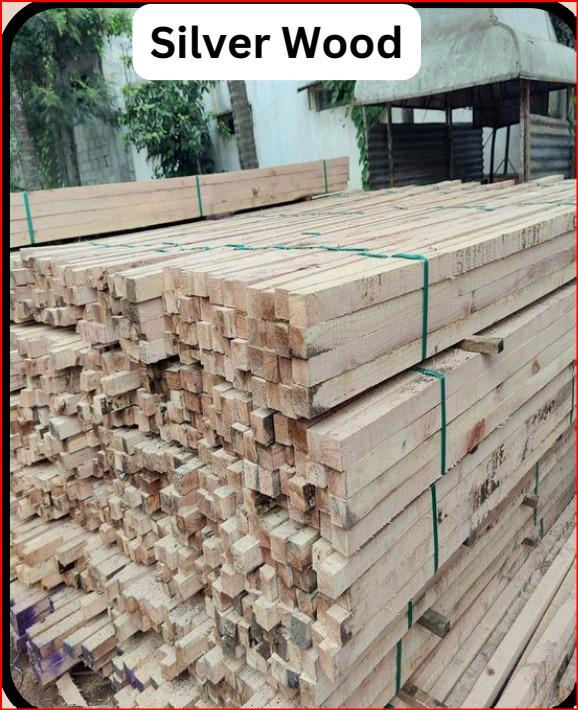 Silver WoodSilver wood can refer to two main types: Indian Silver Greywood and Silver Oak, with descriptions varying based on the specific type. Indian Silver Greywood is a dense, durable hardwood from India known for its straight grain and light to medium brown color with silver streaks, making it ideal for furniture and flooring. Silver Oak is a plantation timber in India, used for construction (especially temporary structures like shuttering), packaging, and furniture; it is strong, has good nail-holding capacity, and is resistant to decay and pests. 