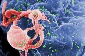 Hiv Virus product image