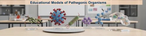 Pathegnic Organisms product image