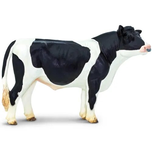 1.Holestetin product image