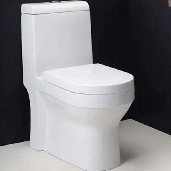 You are looking for a “flat one-piece” toilet with an S-trap, which refers to a floor-mounted toilet with a streamlined, seamless design and a waste outlet that drains directly into the floor