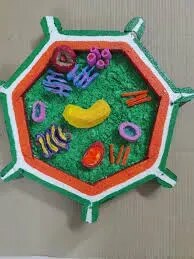 Plant Cell product image