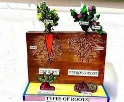 Types Of Roots product image