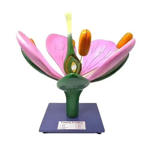 Ls Flower product image