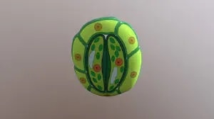 Stomata product image