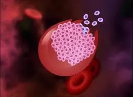 Multiple Fissin product image