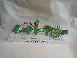 Drossera product image
