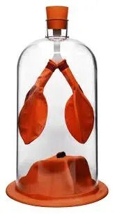 Lung Demonstration Model product image