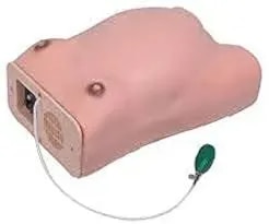 Maternity Examination Model product image