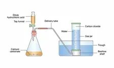 Preparation of Hydrogen & Carbon Dioxide (55x90cm) product image