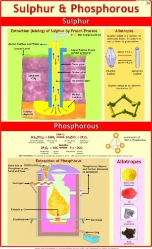 Sulphur & Phosphorous (55x90cm) product image