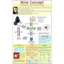 Mole Concept (Avogadro's Hypothesis) (55x90cm) product image