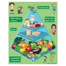 Our Food & Balanced Diet (50x70cm) product image