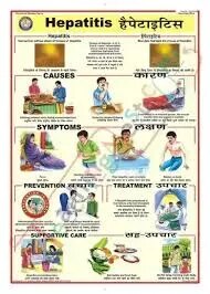 Hepatitis (50x70cm) product image