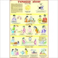 Typhoid (50x70cm) product image