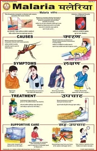 Malaria (50x70cm) product image